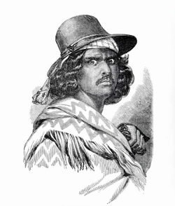 Błazen Nadworny - Znak Zorro