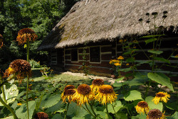 Zaścianek